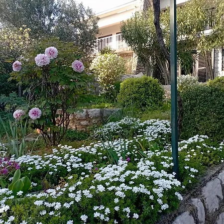 Ana Guest house