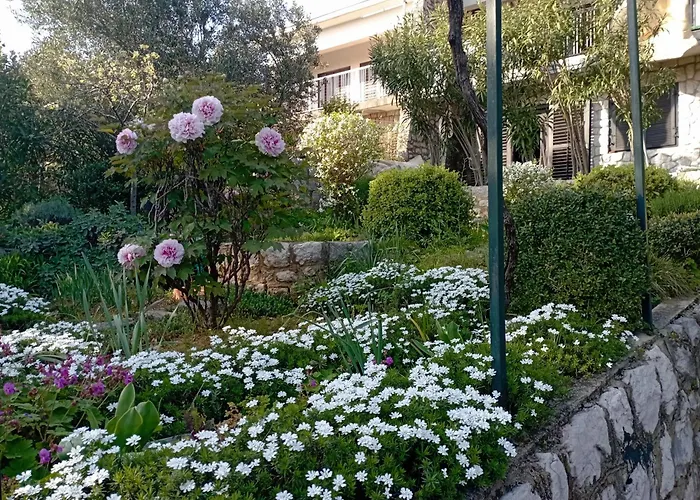 Ana Maison d'hôtes